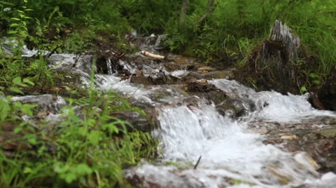 Mountain river Stock Footage 66613473