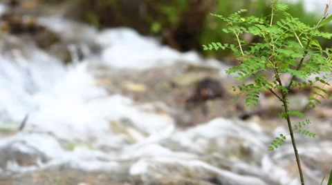 Mountain river Stock Footage 66655049