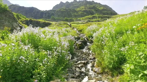 Mountain river Stock Footage 68346853