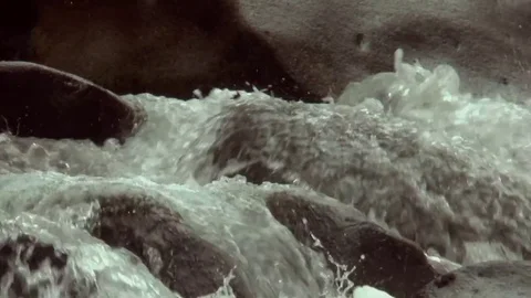 Mountain river Stock Footage 73115712