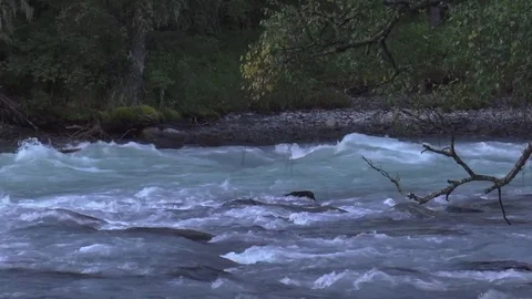 Mountain river Stock Footage 73702595