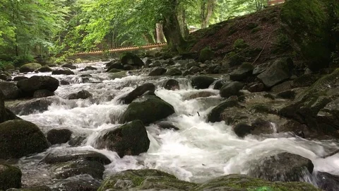 Mountain river Stock Footage 78129785