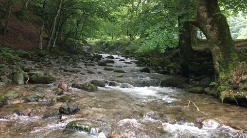 Mountain river Stock Footage 78129818