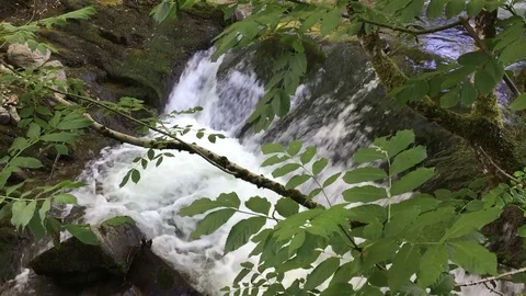 Mountain river Stock Footage 78129835