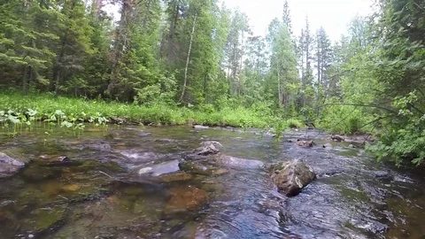 Mountain river Stock Footage 79684095