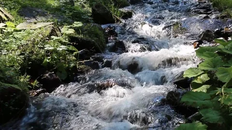 Mountain river Stock-Footage 81232537