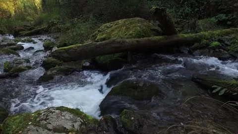 Mountain river Stock Footage 81587243