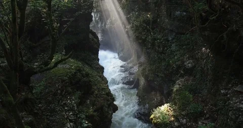 Mountain river. Stock Footage 85318251