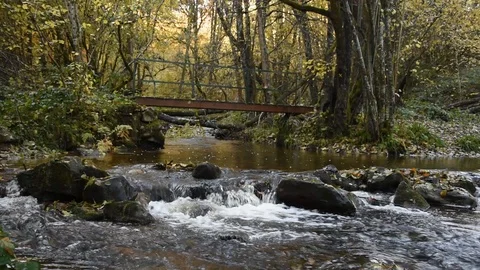 Mountain river Stock Footage 98231566
