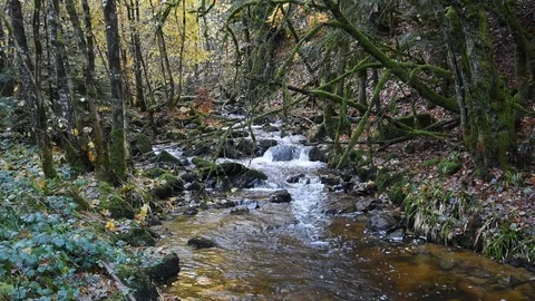 Mountain river Stock Footage 98231918