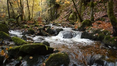 Mountain river Stock Footage 98232212