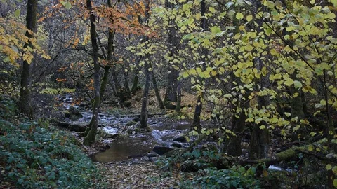 Mountain river Stock Footage 98232552