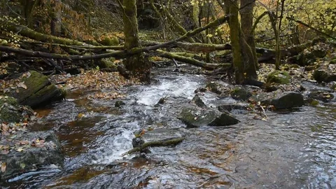 Mountain river Stock Footage 98233002