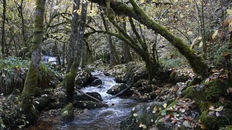 Mountain river Stock Footage 98233349