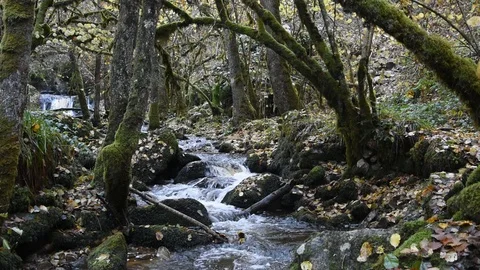 Mountain river Stock Footage 98233786