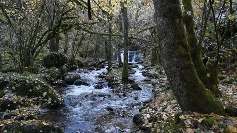 Mountain river Stock Footage 98234113