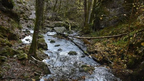 Mountain river Stock Footage 98299224