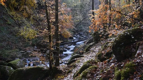 Mountain river Stock Footage 98301504