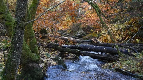 Mountain river Stock Footage 98301825