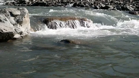 Mountain River Vídeo Stock 98339184