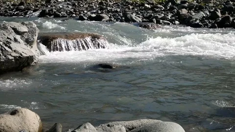 Mountain River Stock-Footage 98339197