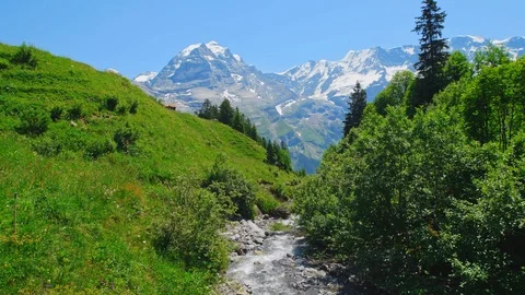 Mountain River Vidéo 98444775