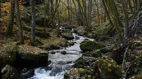 Mountain river Stock Footage 98483413