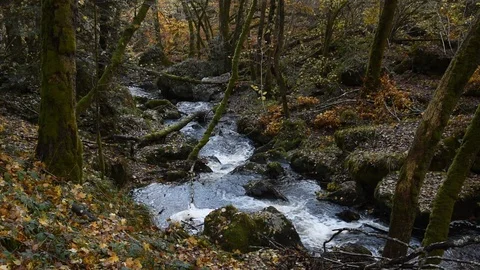 Mountain river Stock Footage 98483638