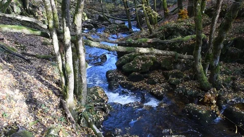Mountain river Stock Footage 98484140