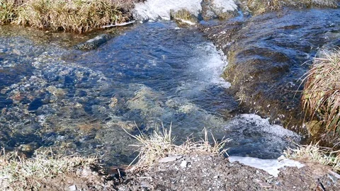 Mountain River Vídeo Stock 99341871