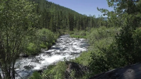 Mountain river Vídeos de archivo 108048408