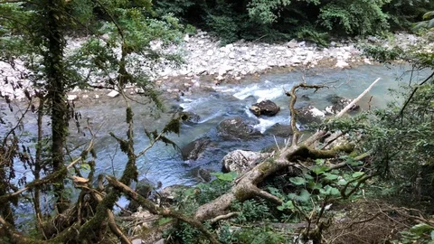 Mountain river 스톡 동영상 114310871