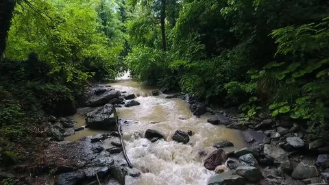 Mountain river Stock Footage