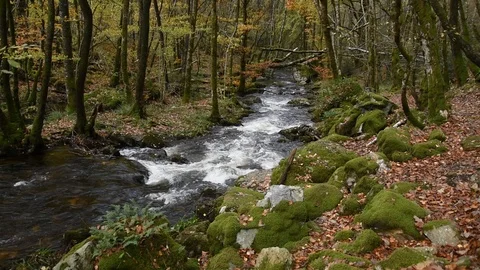 Mountain river Stock Footage 119668641