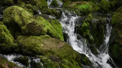 Mountain river Stock Footage 136461745