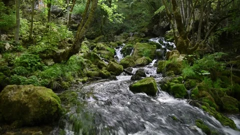 Mountain river Stock Footage 136461765