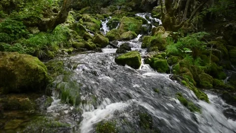 Mountain river Stock Footage 136462184