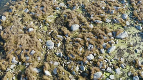 Mountain River Stock Footage 151762454