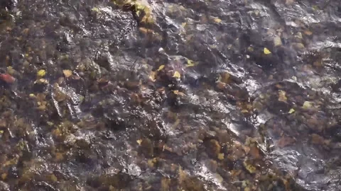 Mountain river Video stock 170515904