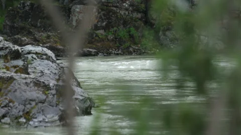 Mountain river Stock Footage 203901880