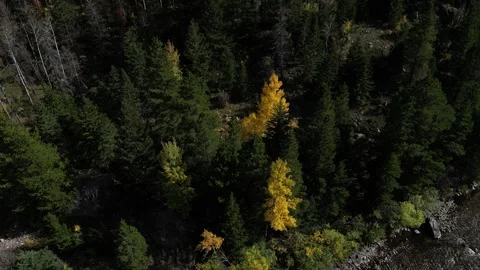 Mountain River Stock Footage 249578425