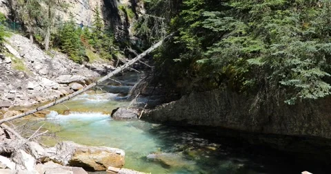 Mountain river Stock Footage 255696374