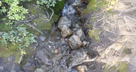 Mountain river Stock Footage 255896465