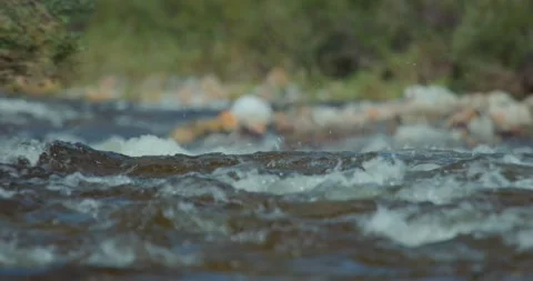 Mountain river Stock Footage 305506789