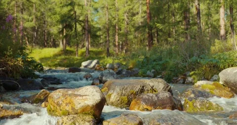 Mountain river Stock Footage 305507890