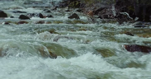 Mountain River Stock Footage 305790966