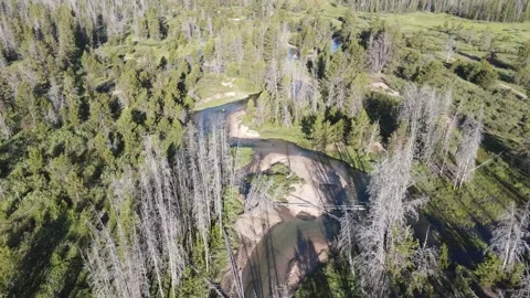 Mountain river Stock Footage 321155879