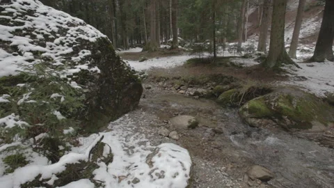 Mountain river in the forest 2 Stock Footage 146129698