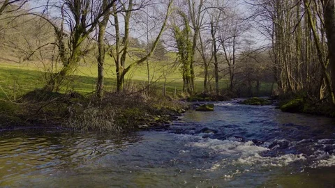 Mountain River Forest 4k Stock Footage 71606392