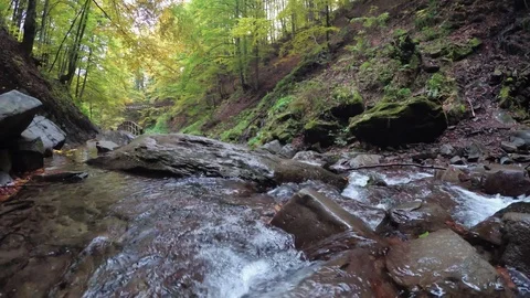 Mountain River In the Forest. 4K Stock Footage 120192435